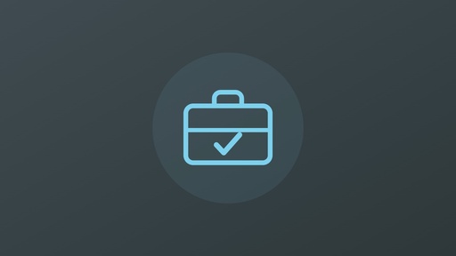 Audit pro